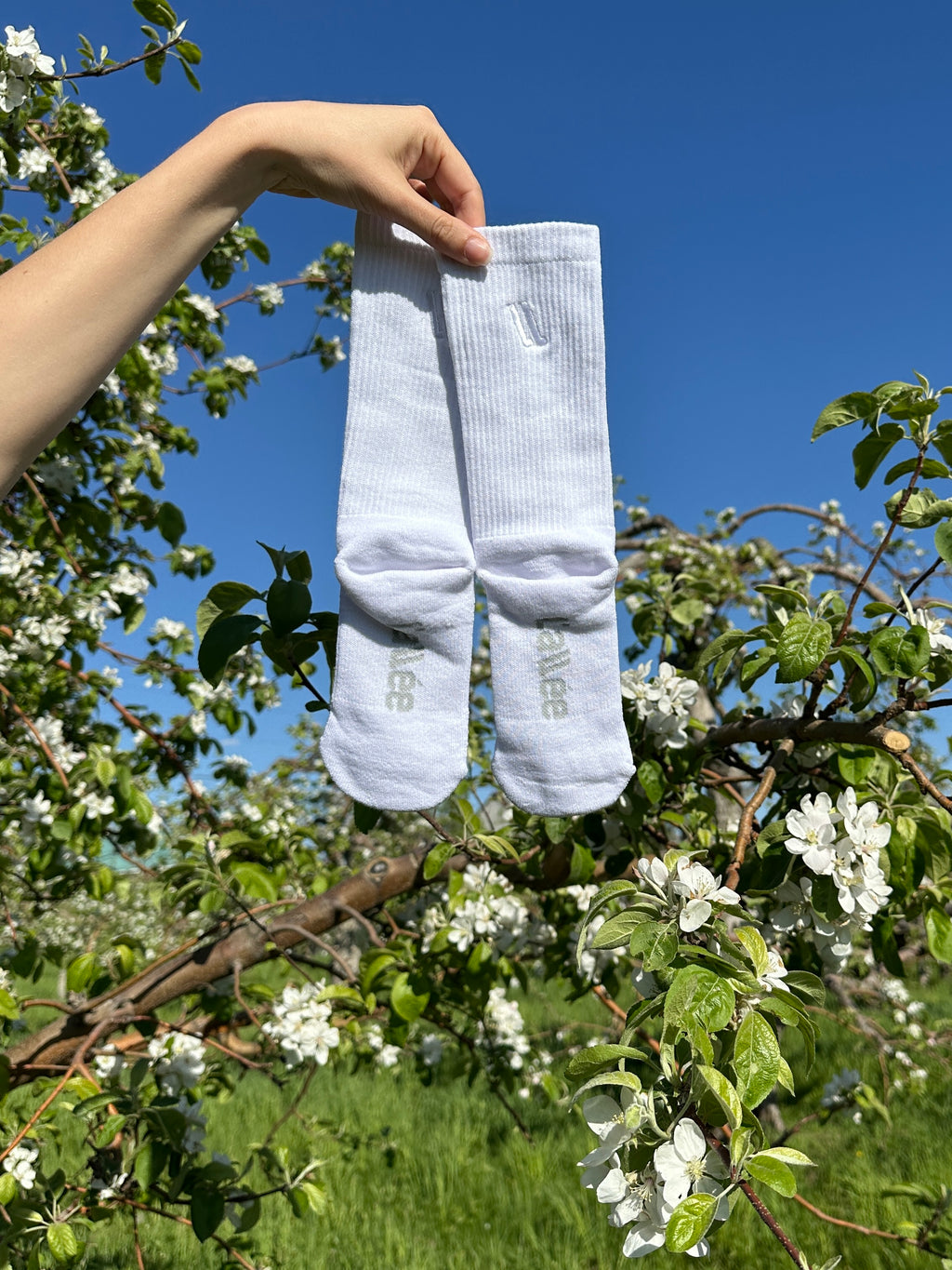 Chaussette