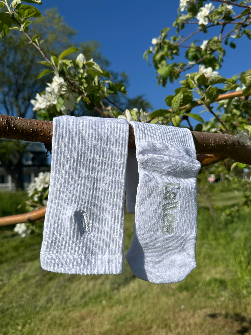 Chaussette